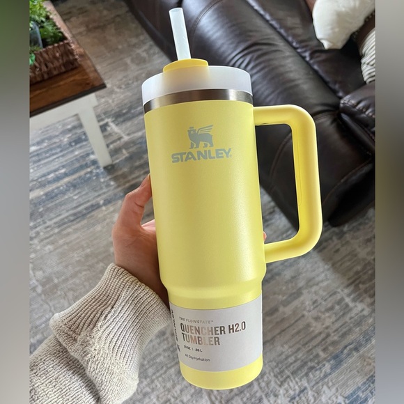 Stanley Other - Stanley 30 oz. Quencher H2.0 FlowState Tumbler in POMELO